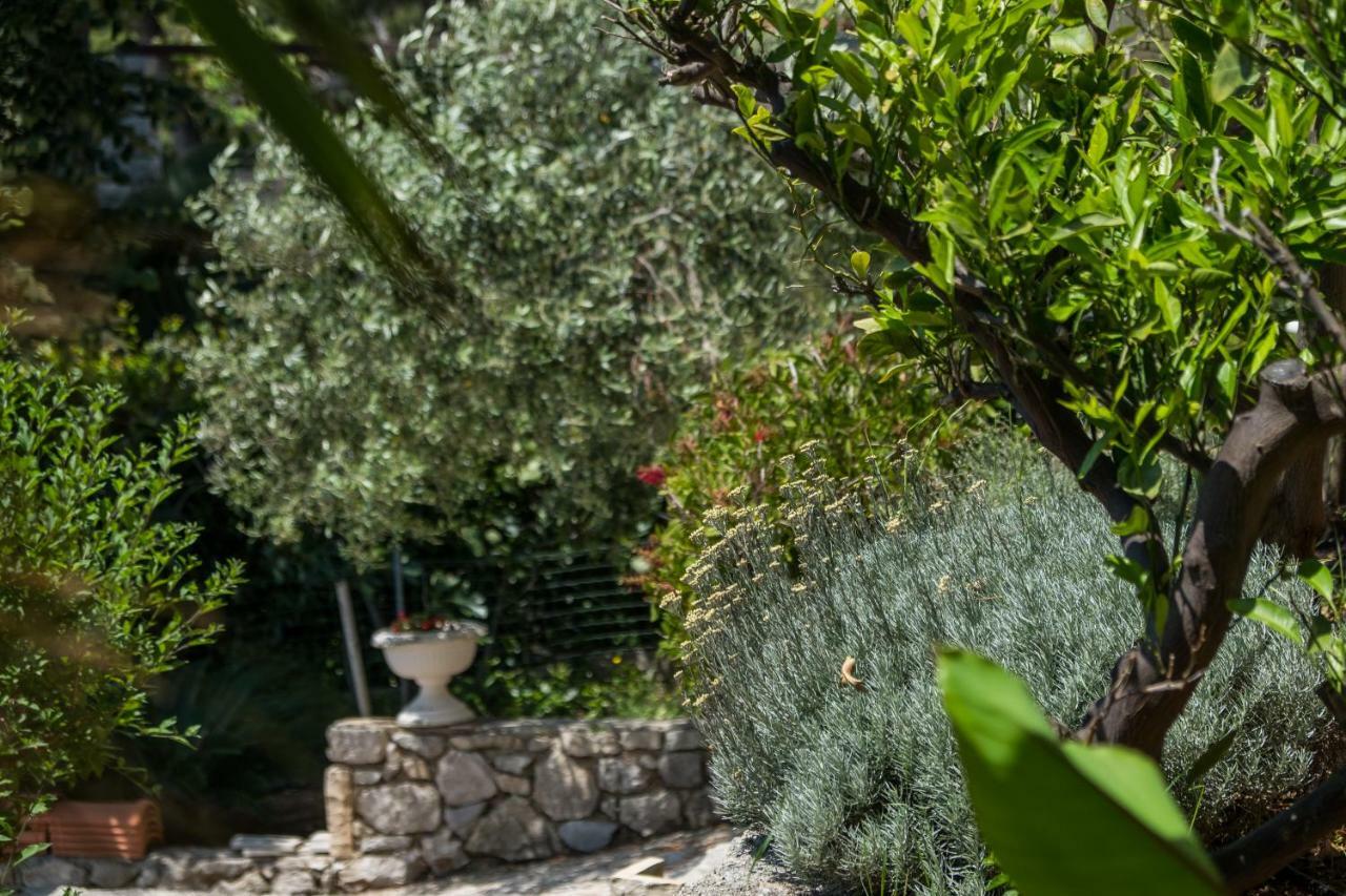 Villa Magnolia Mali Losinj Exterior photo