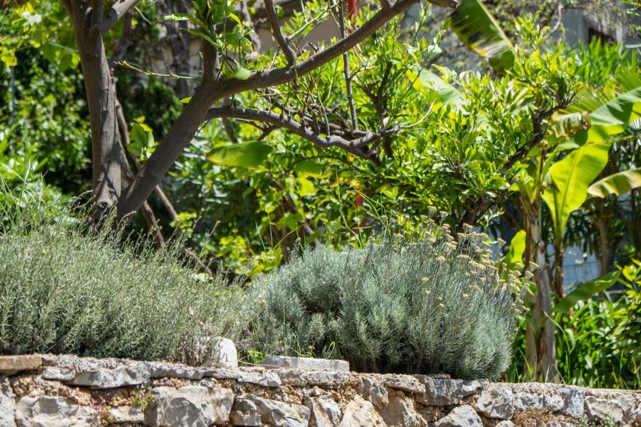Villa Magnolia Mali Losinj Exterior photo